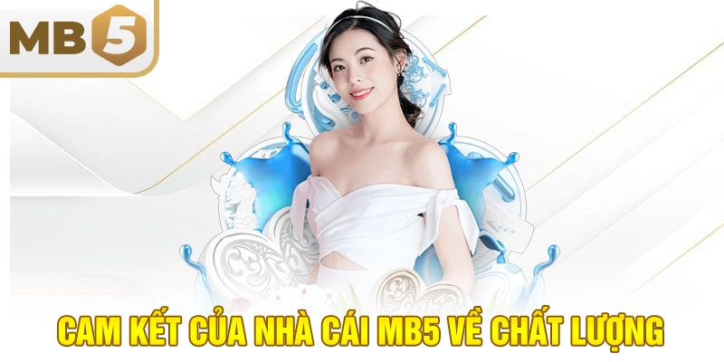 Cam kết của nhà cái MB5 về chất lượng