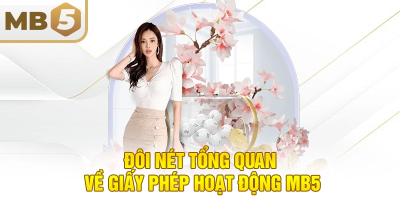 Đôi nét tổng quan về giấy phép hoạt động MB5