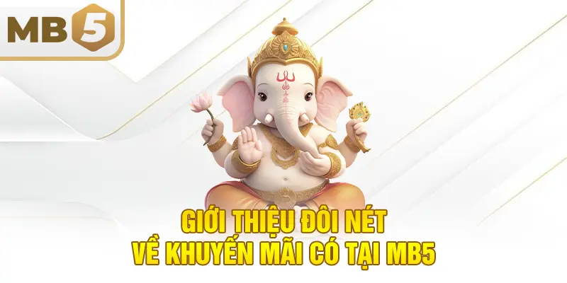 Giới thiệu đôi nét về khuyến mãi có tại MB5
