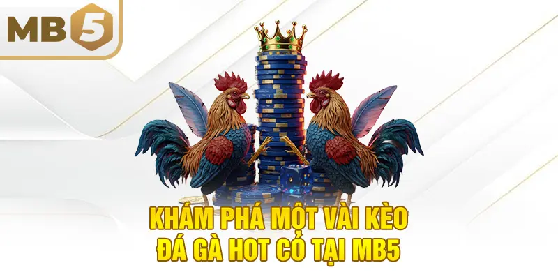 Khám phá một vài kèo đá gà hot có tại MB5