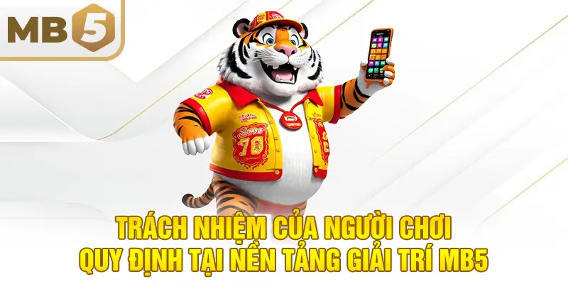 Trách nhiệm của người chơi quy định tại nền tảng giải trí MB5